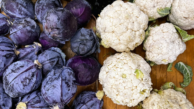 Fresh purple red cabbage and white cauliflower heads are displayed side by side on the fresh farm produce counter. - Powered by Adobe