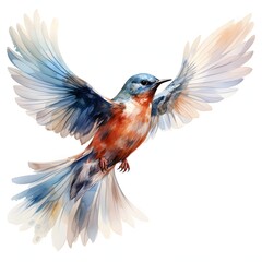 Fototapeta premium Watercolor illustration of a bluebird in flight with spread wings on white background