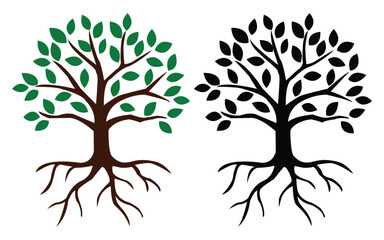 Obraz premium Vibrant green tree and silhouette tree with exposed roots
