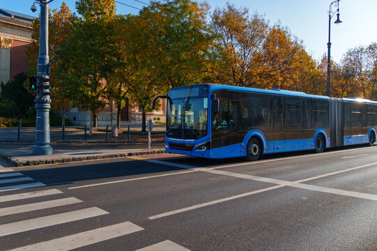 A blue city bus stopped on a city road in front of a pedestrian crossing. Budapest, Hungary