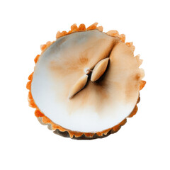 Watercolor top view of a delicious apple pie tart with flaky crust, isolated on transparent background