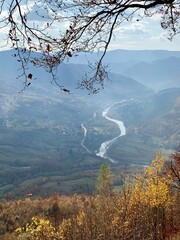 River Valley View Through Autumn Mountain Trees; peaceful mountain valley stretches into the distance, with a winding river reflecting soft daylight; Ukraine