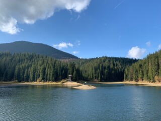 Serene Mountain Lake with Forest Reflections; Ukraine; peaceful mountain lake surrounded by dense evergreen forest under a bright blue sky
