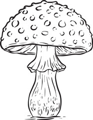A Fungi Mushroom or Toadstool Vector Illustration Cartoon Wild