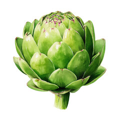 Obraz premium Watercolor a vibrant green artichoke, a healthy vegetable, isolated on a transparent background, showcasing its intricate petal structure and stem