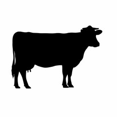 Fototapeta premium Striking black silhouette of a standing dairy cow, full body profile, with distinct udders