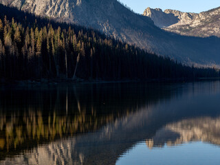 Intimate reflection of forest at sunrise in mountain lake