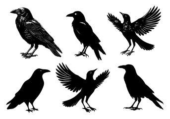 Collection of six black silhouette crows in various poses