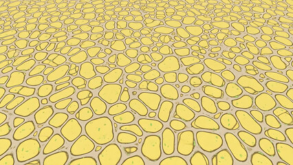 Abstract organic cell structure pattern background with yellow shapes separated by beige lines