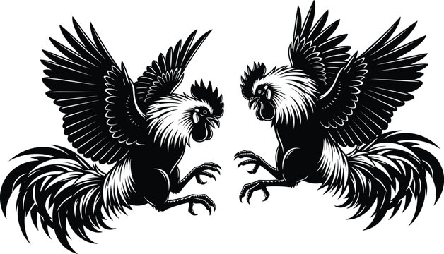 Two roosters in combat stance, aggressive posture, black silhouette, cockfight scene, dynamic feathers, traditional animal fight, bold contrast, cultural icon, vector illustration