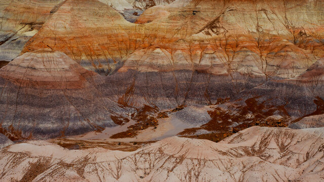 Landscape of rock strata with foreground of white hills, South Dakota