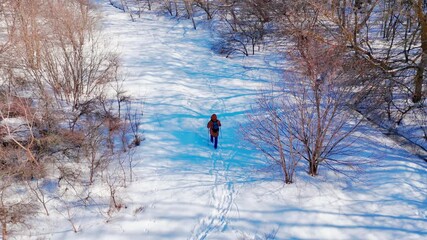 Drone shot of alone person going across snow-covered forest, search for missing persons in the forest