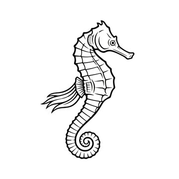 Detailed Sea Horse Outline Engraving: Marine Vector