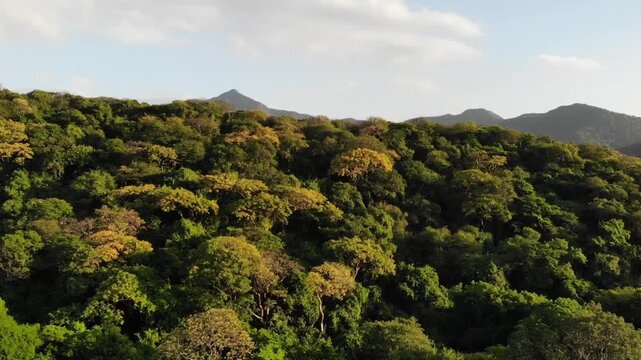 A reveal drone shot rising over dense tropical rainforest, uncovering lush green canopy with the towering mountains of the Sierra Nevada de Santa Marta visible in the distance