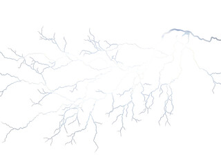 Vector tree with exposed roots in a grunge sketch style