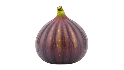 Whole Fig Fruit with Purple Skin and Green Specks