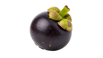 Ripe Mangosteen Showing Glossy Purple Rind