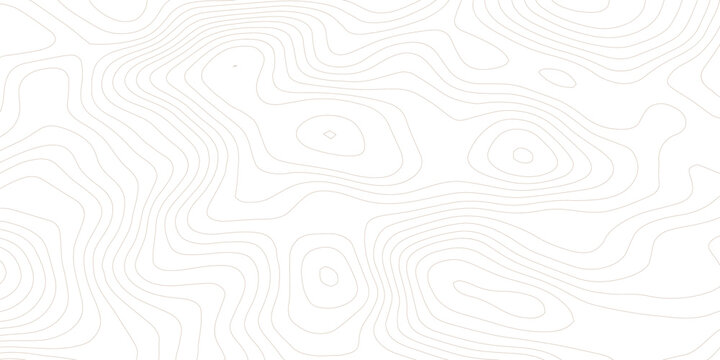 Abstract topographic contours map background. Topography white wave lines vector background. Topographic map Patterns, Topographic map and place for texture. Wavy curve lines banner design.	

