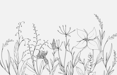 Fototapeta premium Floral bakground or wallpaper with tender flowers and leaves. Botanical foliage for wedding invitation or wall art. Vector illustration