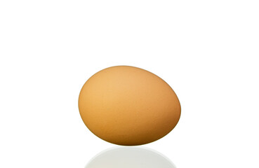 A large egg is sitting on a white background