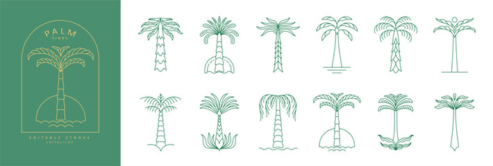 Fototapeta premium Set of simple geometric palm tree icon or logo designs. Summer tropical design elements and vacation emblems for resort, travel and beauty