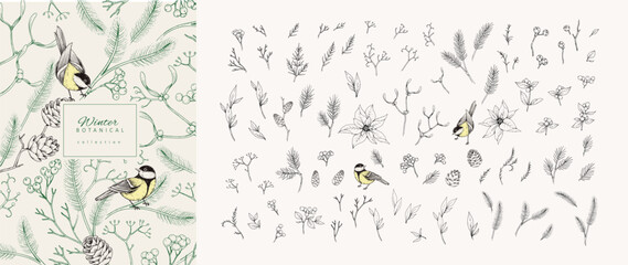 Christmas greeting illustration with winter plants, birds and traditional New year decorations. Holiday card or invitation with hand drawn botanical
