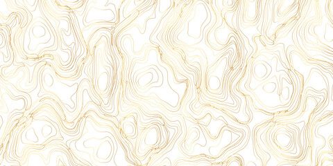 Elegant Abstract Topographic Landscape in Luxurious Golden Tones — A Sophisticated Vector Illustration Design on a Clean White Background.
