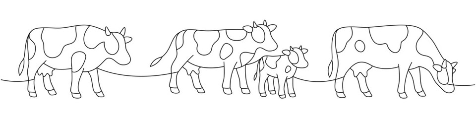 Four cows and calf. Minimalist group composition of rural livestock family