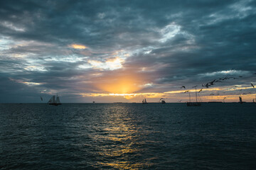 Sailboats at Sunset with Birds Over Tropical Ocean