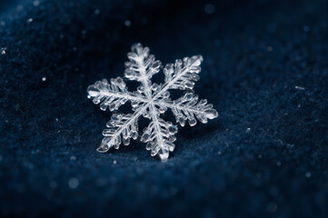 A close-up of a delicate snowflake against a dark background, evoking a sense of tranquility and winter wonder.