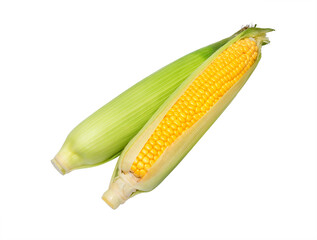 Corn cob isolated.  Sweet corn.