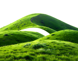 Green hills and fields under a blue sky with trees and mountains in the background