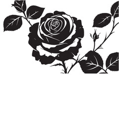 creative rose design using adobe illustrator and vactor ..