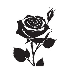 creative rose design using adobe illustrator and vactor ..