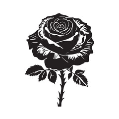 creative rose design using adobe illustrator and vactor ..