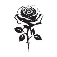 creative rose design using adobe illustrator and vactor ..