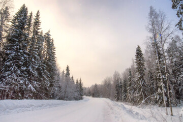 Winter landscape with a road in the forest
