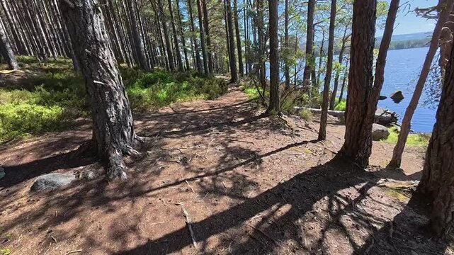 nice senior woman riding her electric mountain bike  in the highlands of Cairn Gorms National Park , Scotland, UK