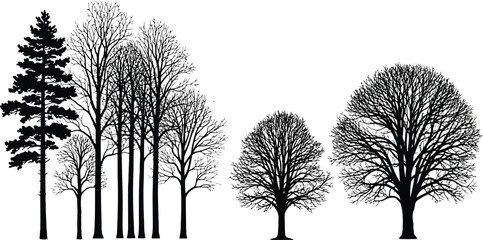Winter trees silhouettes collection collection of various deciduous and coniferous trees silhouettes without leaves © KAWSAR HAMID PALASH