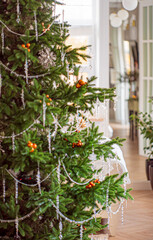 Vibrant decorations and glittering icicles create a festive atmosphere in the cozy room