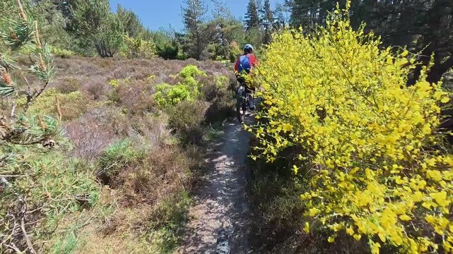 nice senior woman riding her electric mountain bike  in the highlands of Cairn Gorms National Park , Scotland, UK