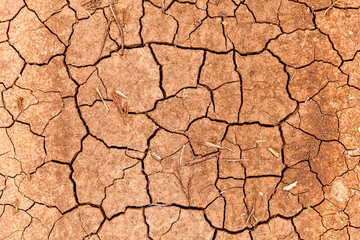 Dried Out