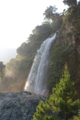 Majestic waterfall cascades down a verdant cliff, surrounded by lush forest trees, with sunlight illuminating the misty spray, creating a serene and breathtaking natural landscape