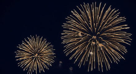 Two golden firework bursts against a dark night sky, radiating outward in spherical pattern, representing celebration, joy, and festive atmosphere