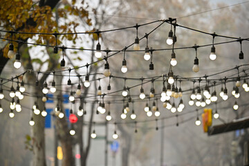A string of lights hanging from a tree