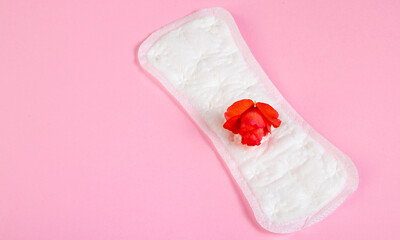 Sanitary pad and red flower on pink background. Menstruation and womens health concept.