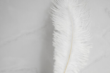 Soft fluffy white feather on a gray background.