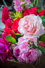 Colorful roses fill a rustic vase, showcasing shades of pink and red, radiating joy and freshness