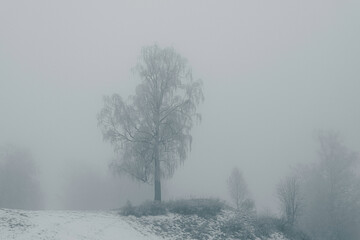 A foggy day in December 2024 from the cultural landscape around Balke, Toten, Norway.