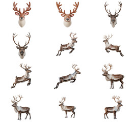 Naklejka premium png set of icons depicting various reindeer heads and full body poses, showcasing wildlife and nature themes.